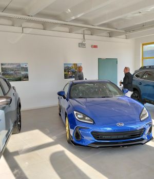 Esempio dalla galleria fotografica di AUTOTECNICA NORDEST SRLS