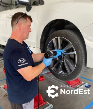 Esempio dalla galleria fotografica di AUTOTECNICA NORDEST SRLS